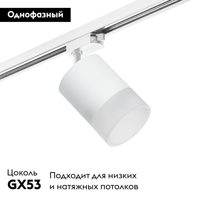 Трековый однофазный светильник Lightstar Rullo (213486+592086+202481) R1T348681