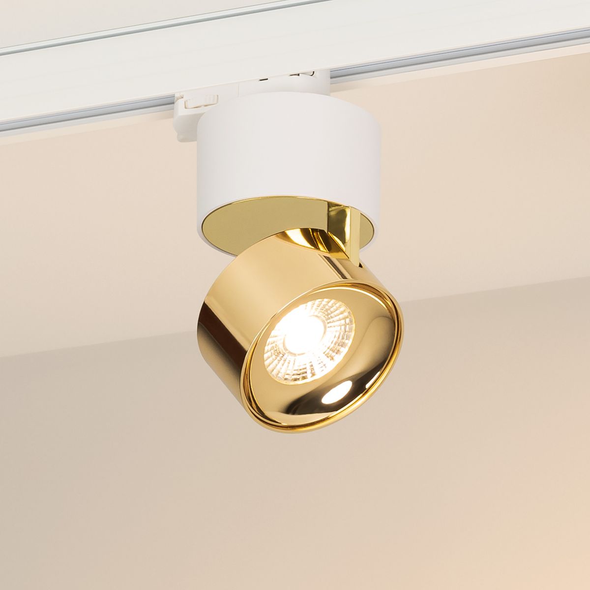 Трековый трехфазный светильник Arlight SP-PLURIO-TRACK-4TR-R77-9W Warm3000 (WH-BRS, 36 deg, 230V) (IP20 Металл) 038114