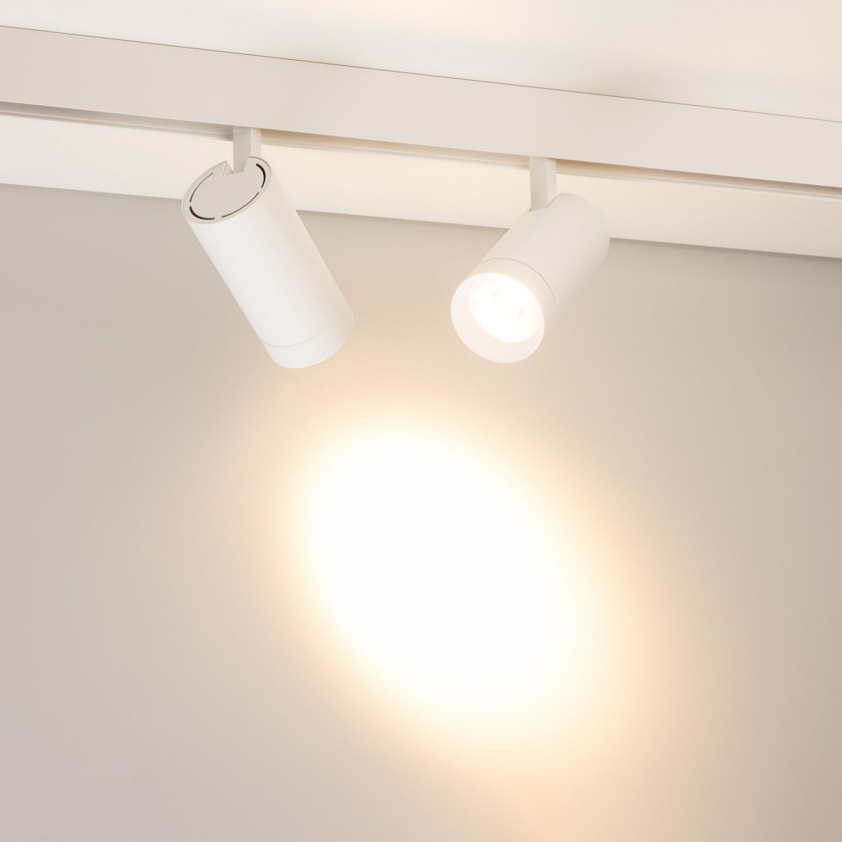 Трековый магнитный светильник Arlight MAG-ORIENT-SPOT-R65-20W Warm3000 (Белый, 24 deg, 48V, DALI) (IP20 Металл) 037125(1)