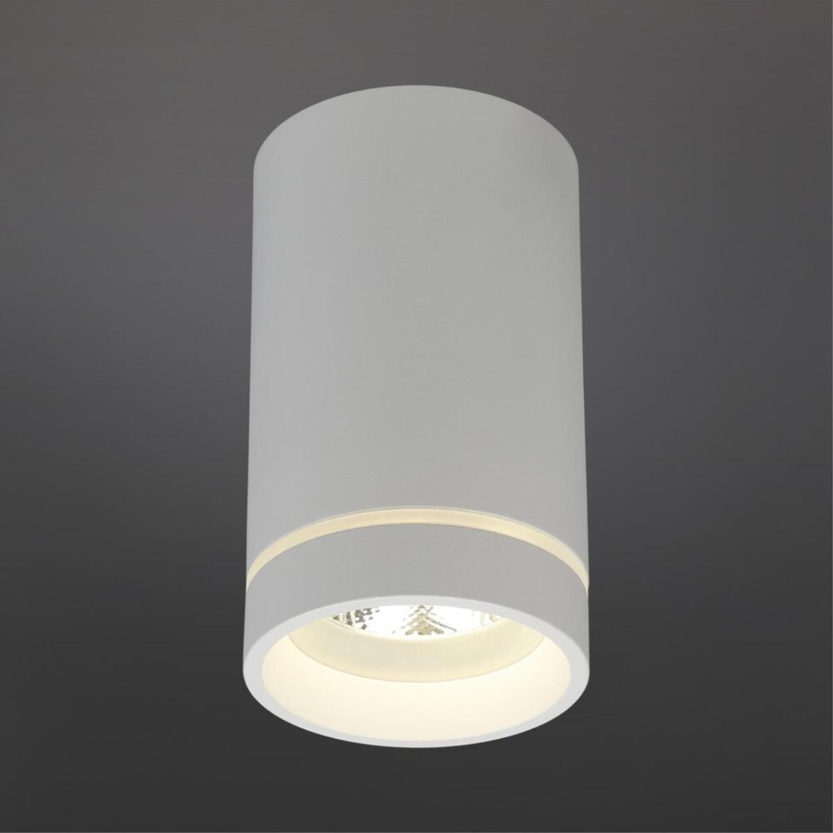 Потолочный светильник Aployt Edda APL.0054.09.10