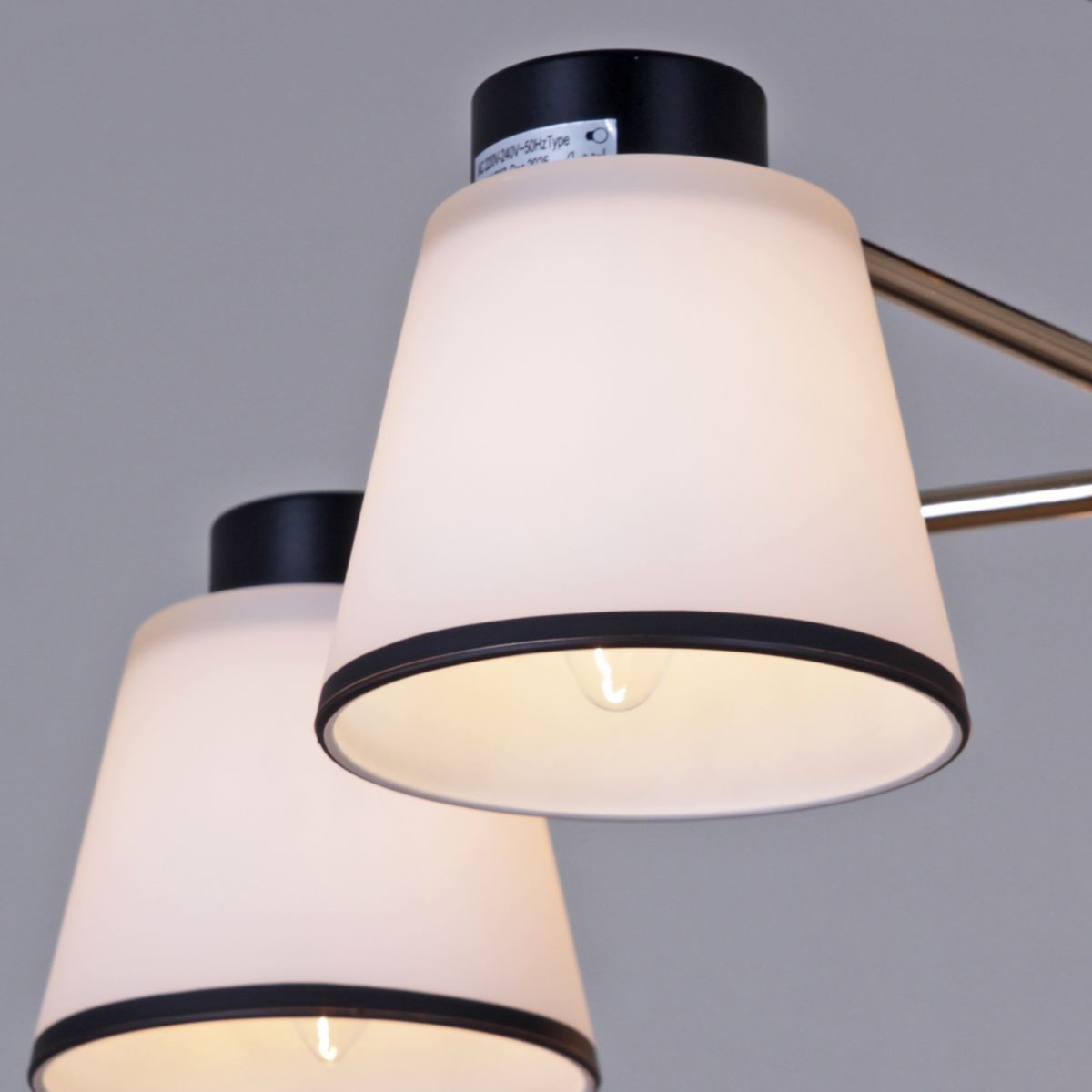 Люстра на штанге Reluce 30560-0.3-05 BK+FG