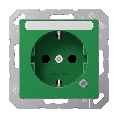 Розетка с полем для надписи Jung A1520BFNAKOGN