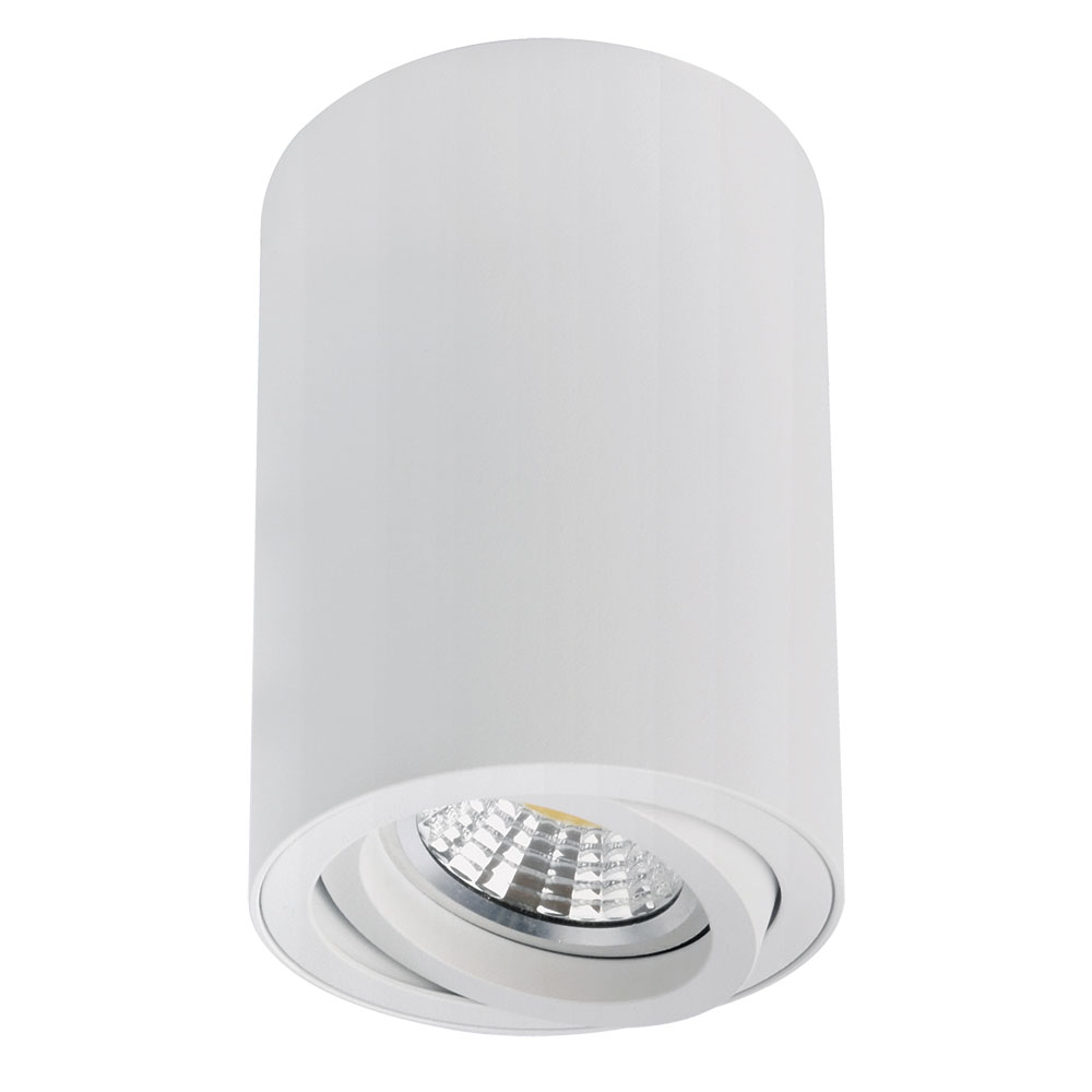 Накладной светильник Arte Lamp Sentry A1566PL-1WH