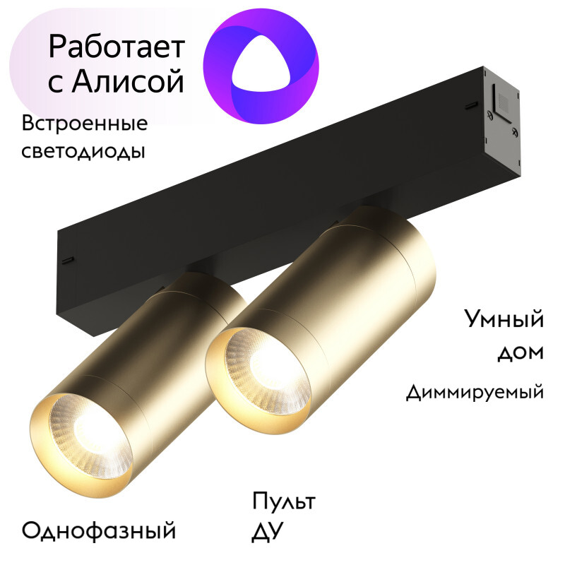 Трековый светильник Denkirs Smart DK8012-BG