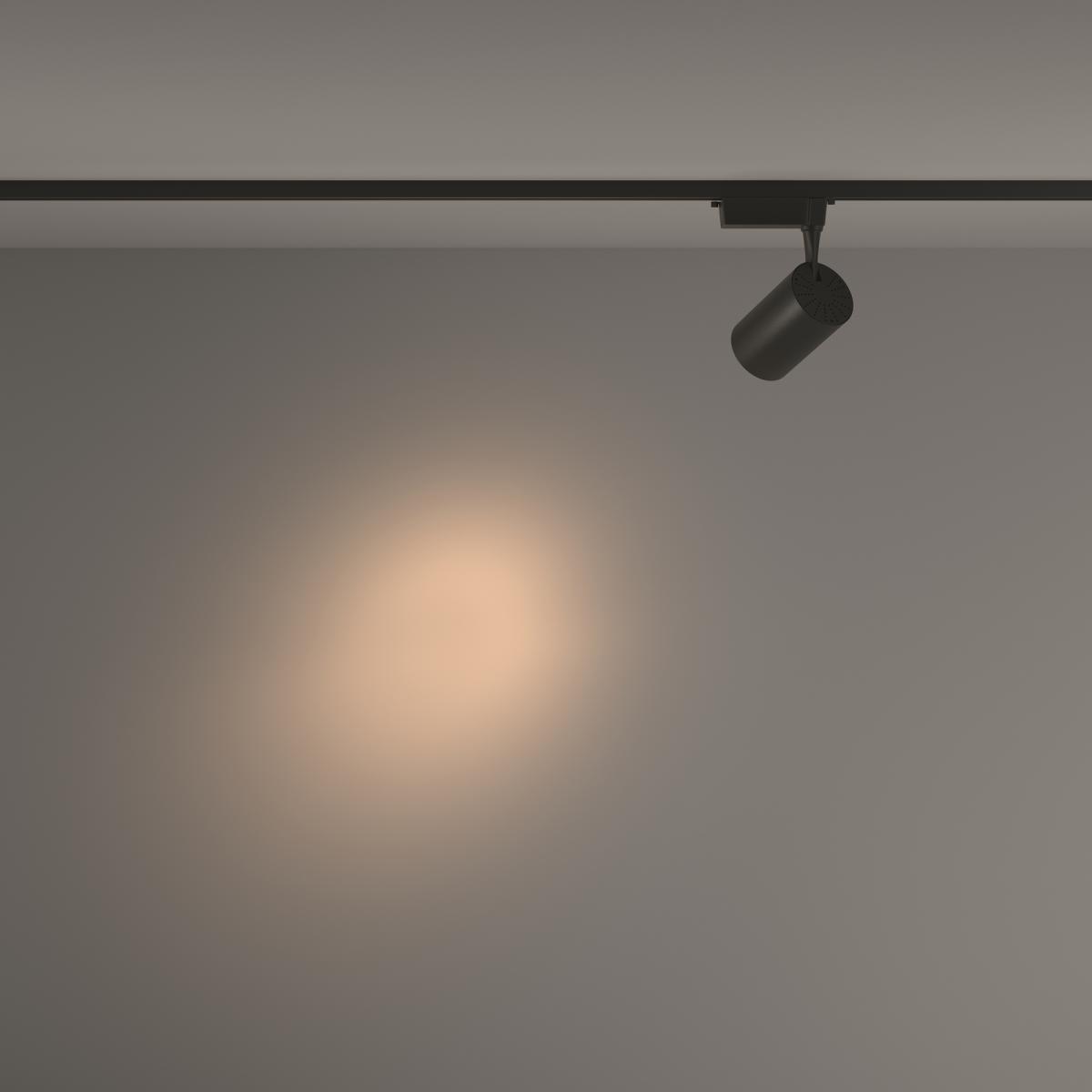 Трековый светильник Maytoni Technical Vuoro TR003-1-15W3K-S-B