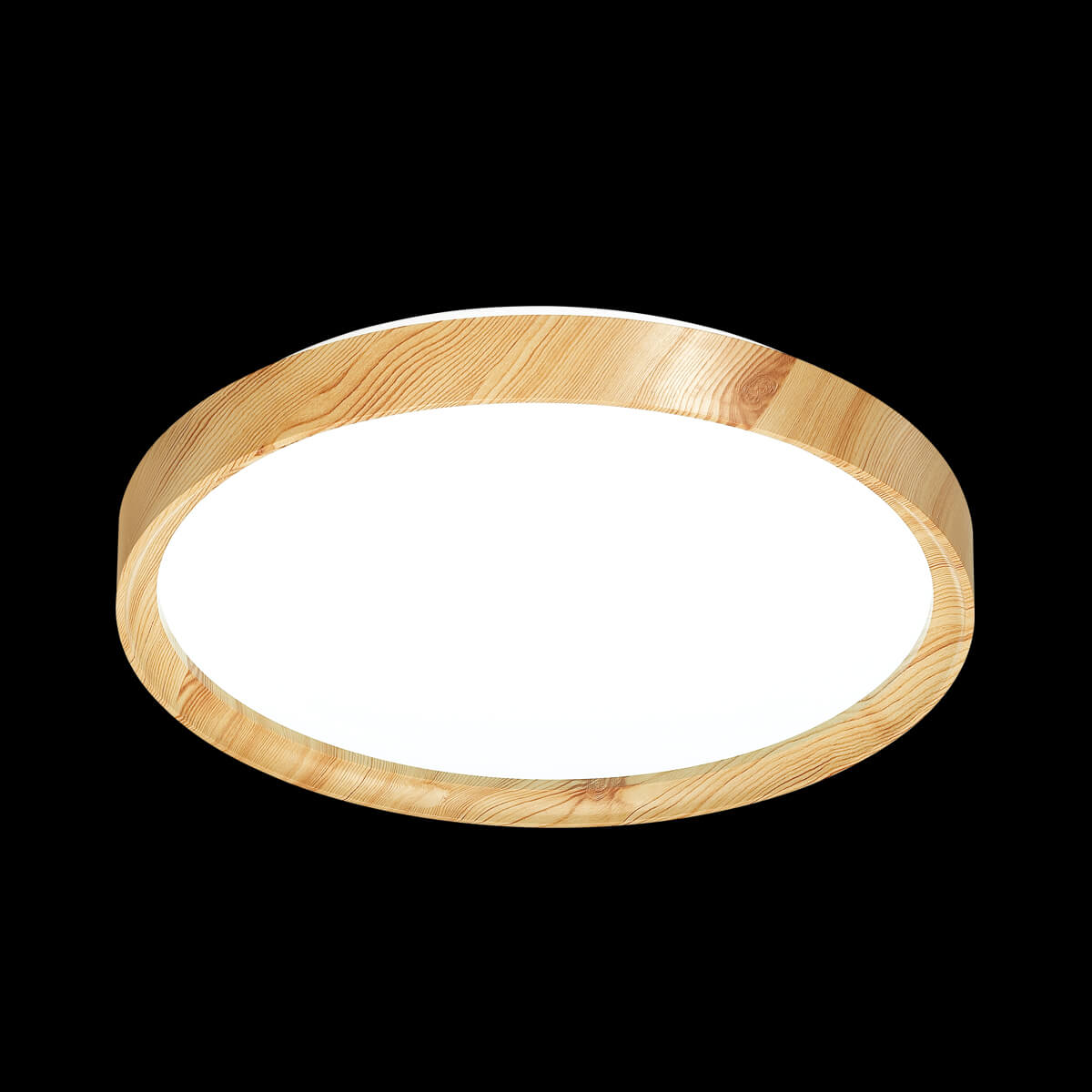 Настенно-потолочный светильник Sonex Woodi 3019/DL