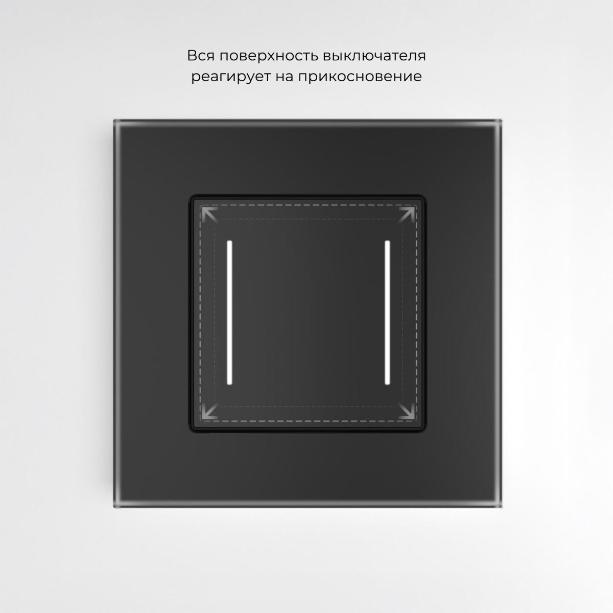 Сенсорный выключатель двухклавишный с подсветкой Werkel 4690389198052 W4522008 a063602
