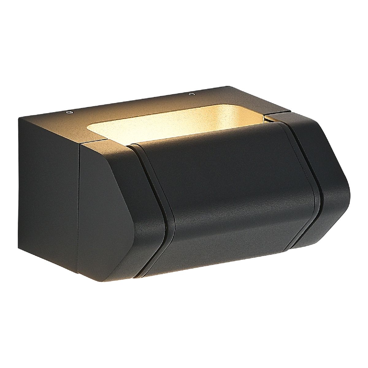 Фасадный светильник ST Luce Protech SL9540.701.01