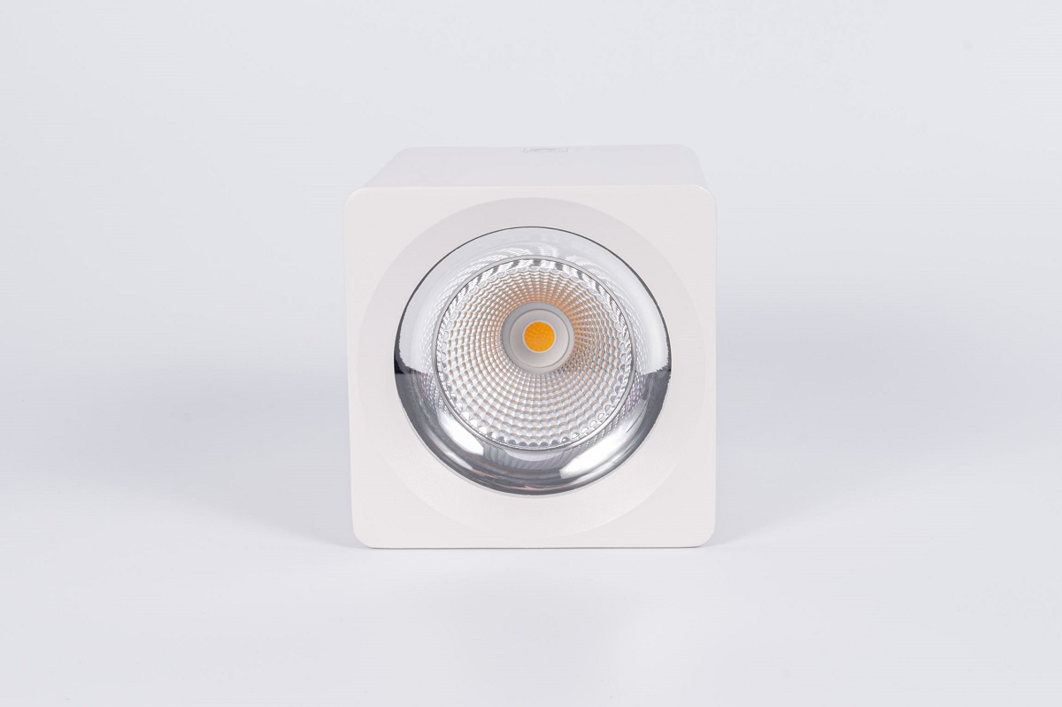 Накладной светильник Fiberli CH-SD220-1 12120101