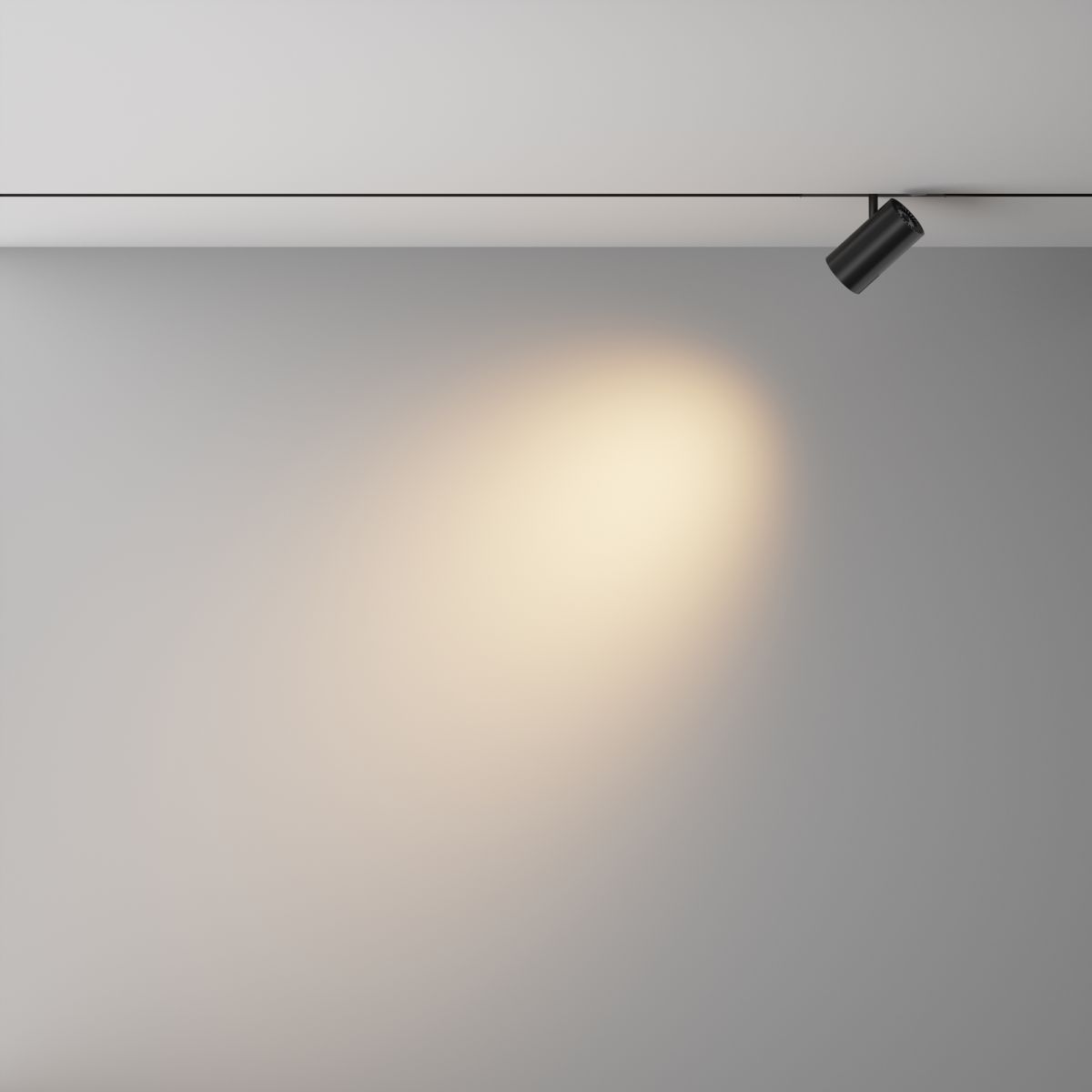 Трековый магнитный светильник Maytoni Technical Focus Led Exility X TR243-4-12WTW-DSZ-B