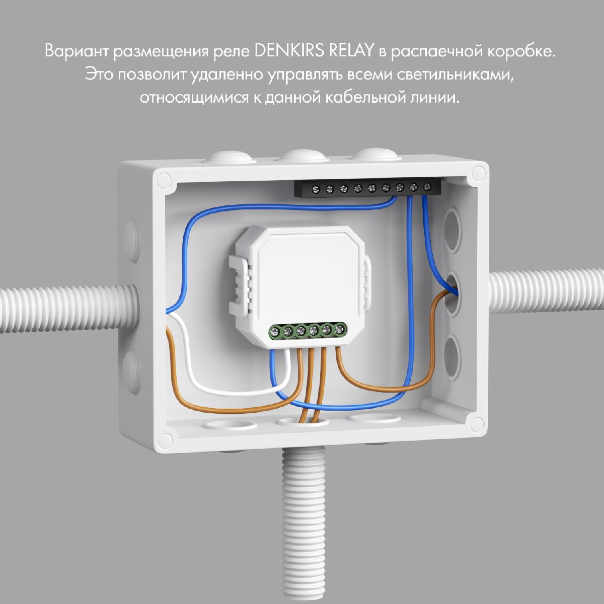 Одноканальное Wi-Fi реле-диммер Denkirs Relay RL1003-DM/1