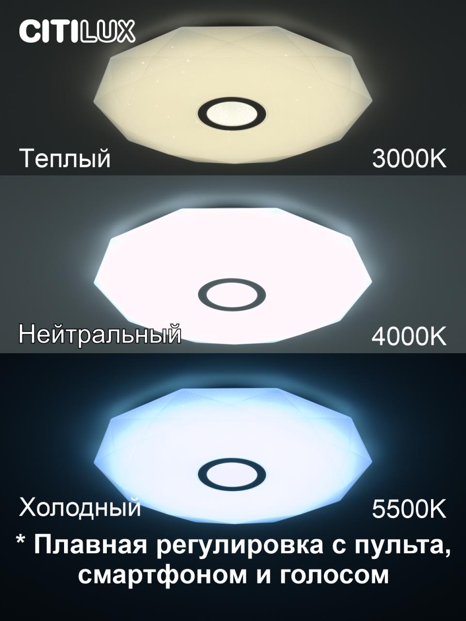 Накладной светильник Citilux CL713A80G в Москве