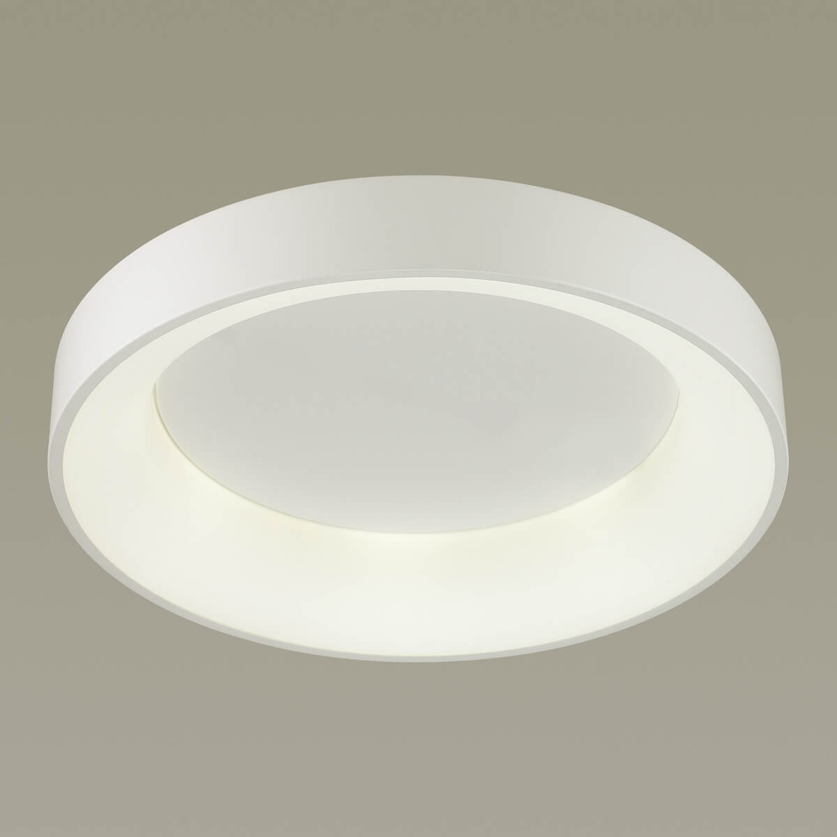 Потолочный светодиодный светильник Odeon Light Sole 4062/50CL