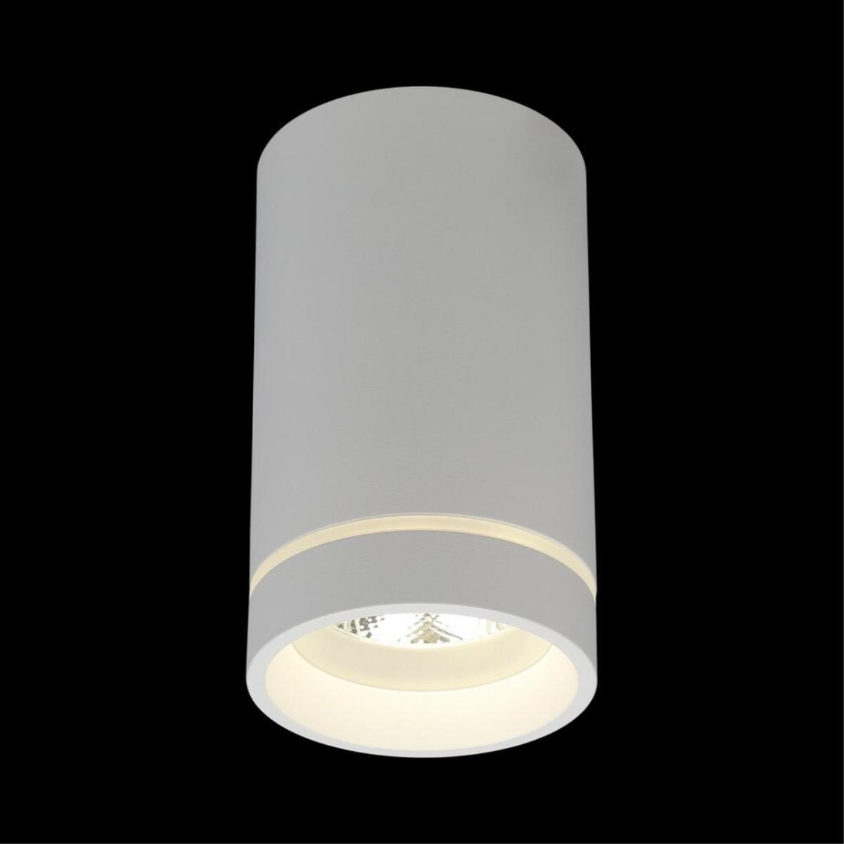 Потолочный светильник Aployt Edda APL.0054.09.10