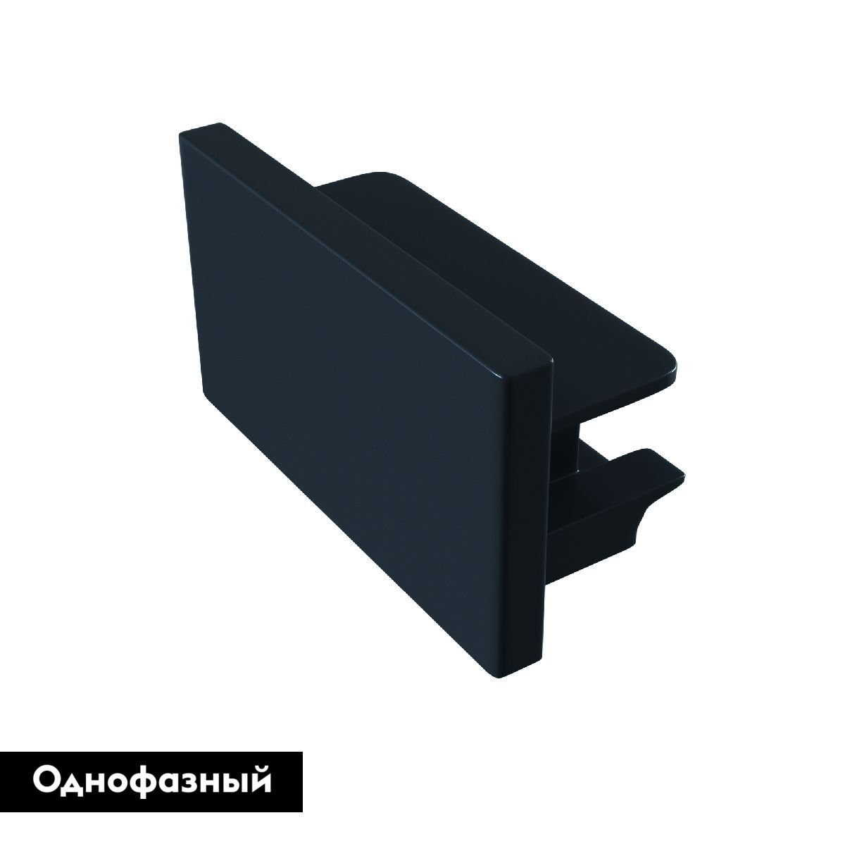 Заглушка Maytoni Track TRA001EC-11B