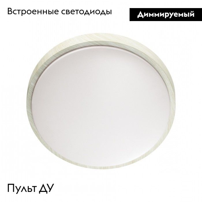 Настенно-потолочный светильник Sonex Losta 7628/EL