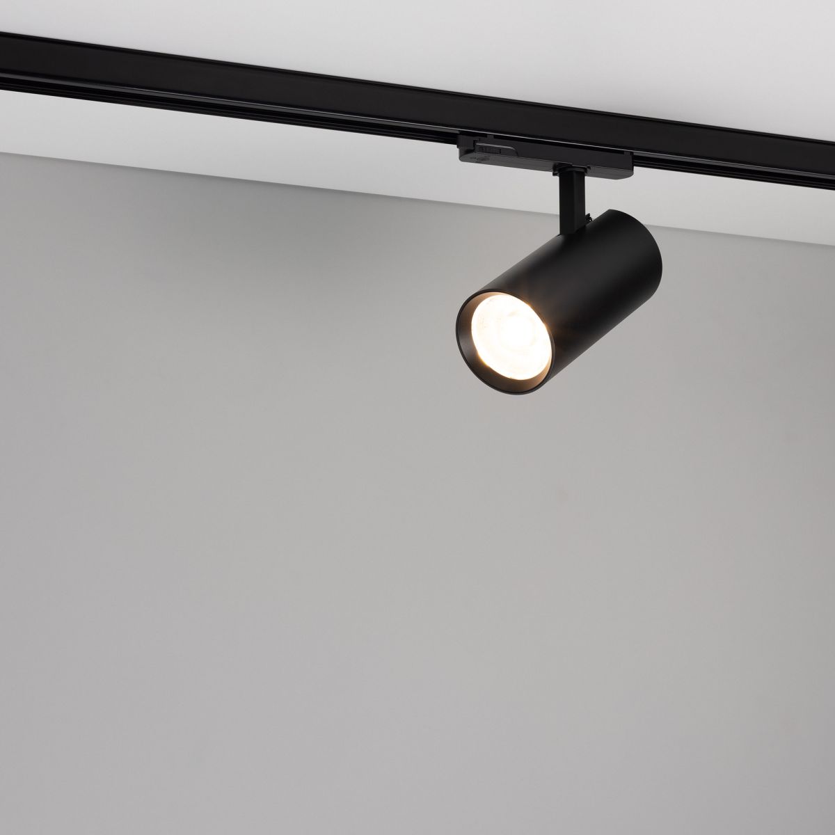 Трековый трехфазный светильник Arlight LGD-GERA-4TR-R90-30W Warm SP2900-Meat (BK, 36 deg, 230V) (IP20 Металл) 060067