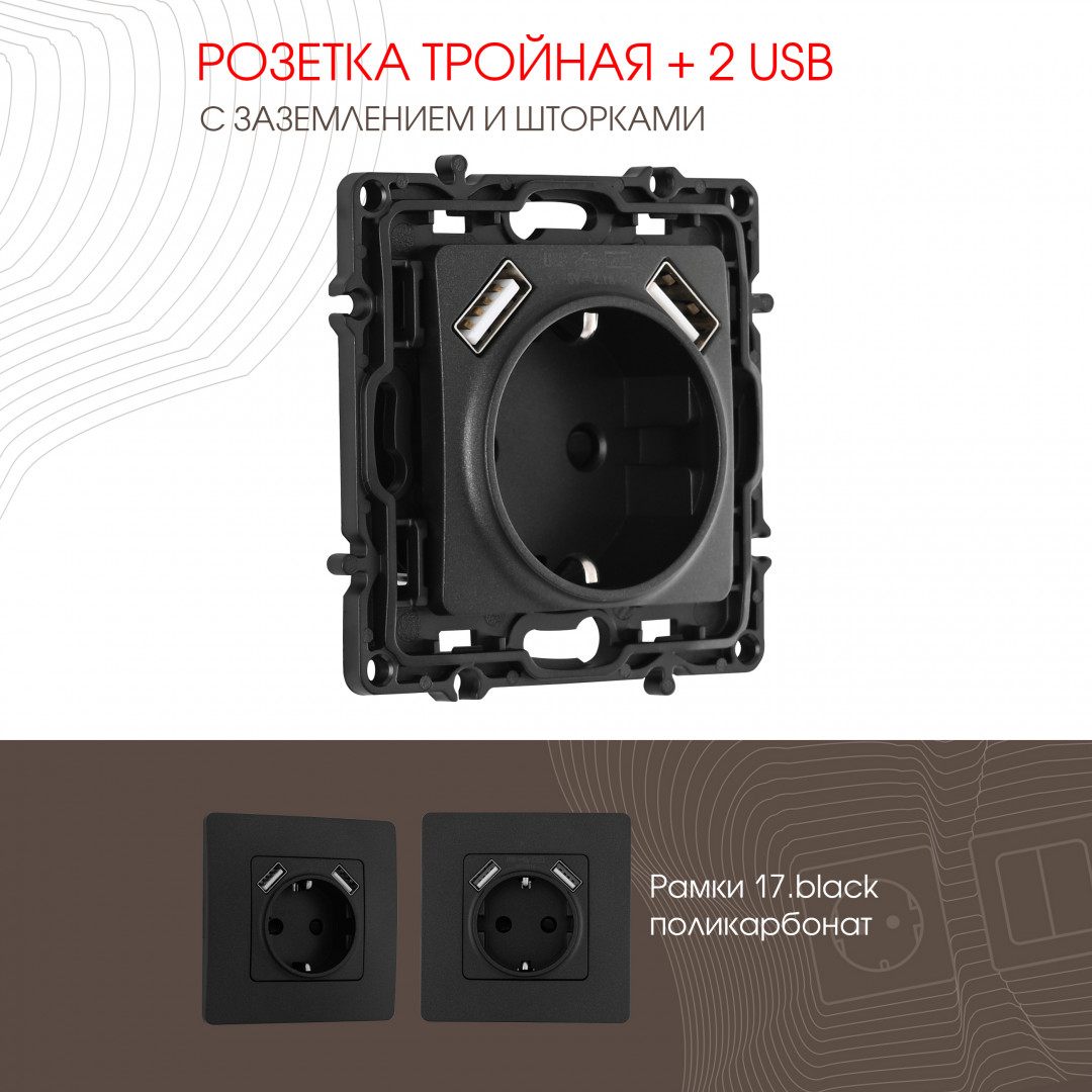 Розетка с заземлением, шторками + 2 USB Arte Milano 217.47-1.black