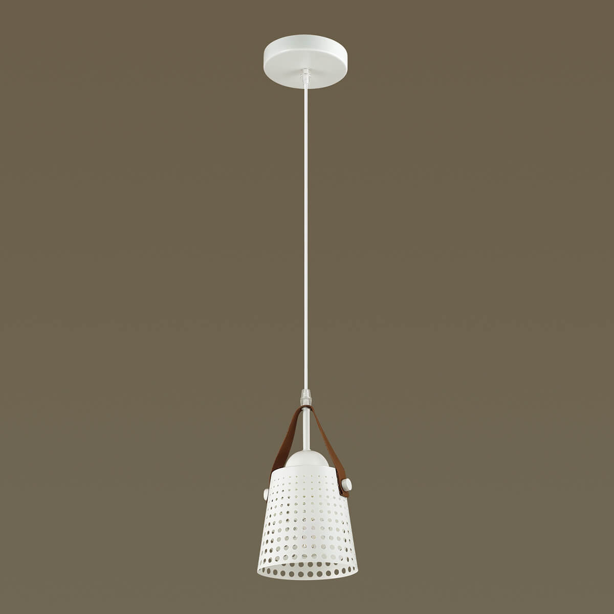 Подвесной светильник Lumion Renata 3640/1