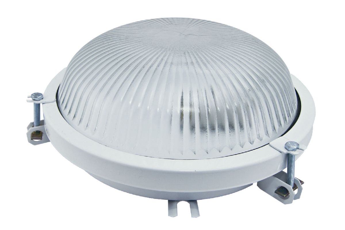 Настенно-потолочный светильник TDM Electric Рыбий глаз НПП 03-100-020.01 SQ0311-0006