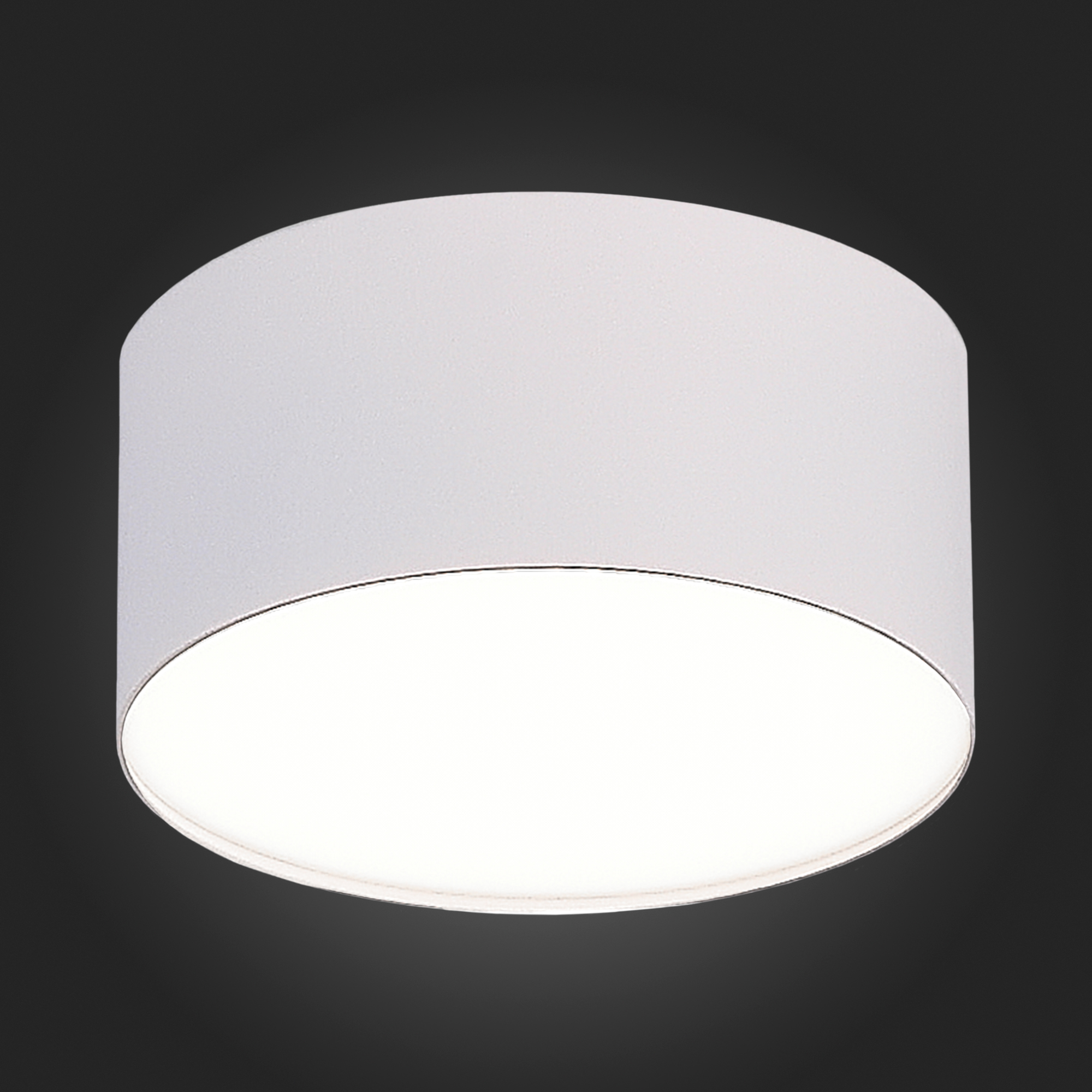 Накладной светильник ST Luce ST606.542.12 в #REGION_NAME_DECLINE_PP#