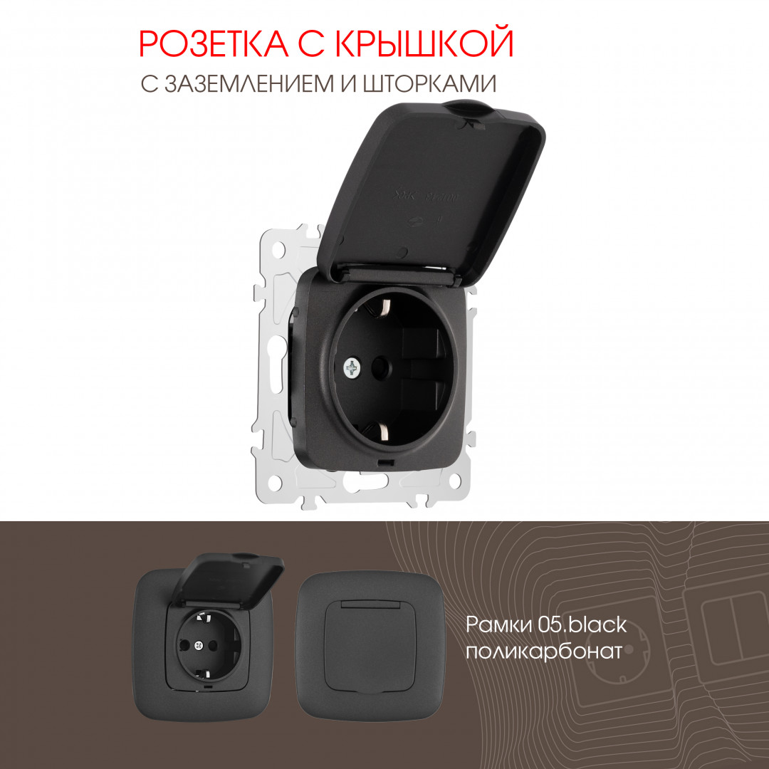 Розетка с заземлением, шторками и защитной крышкой Arte Milano 205.41-1.black