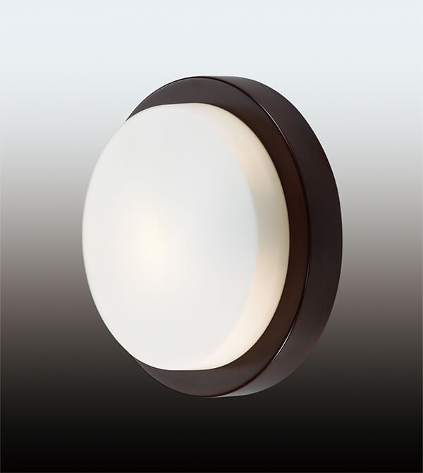 Потолочный светильник Odeon Light Holger 2744/1C