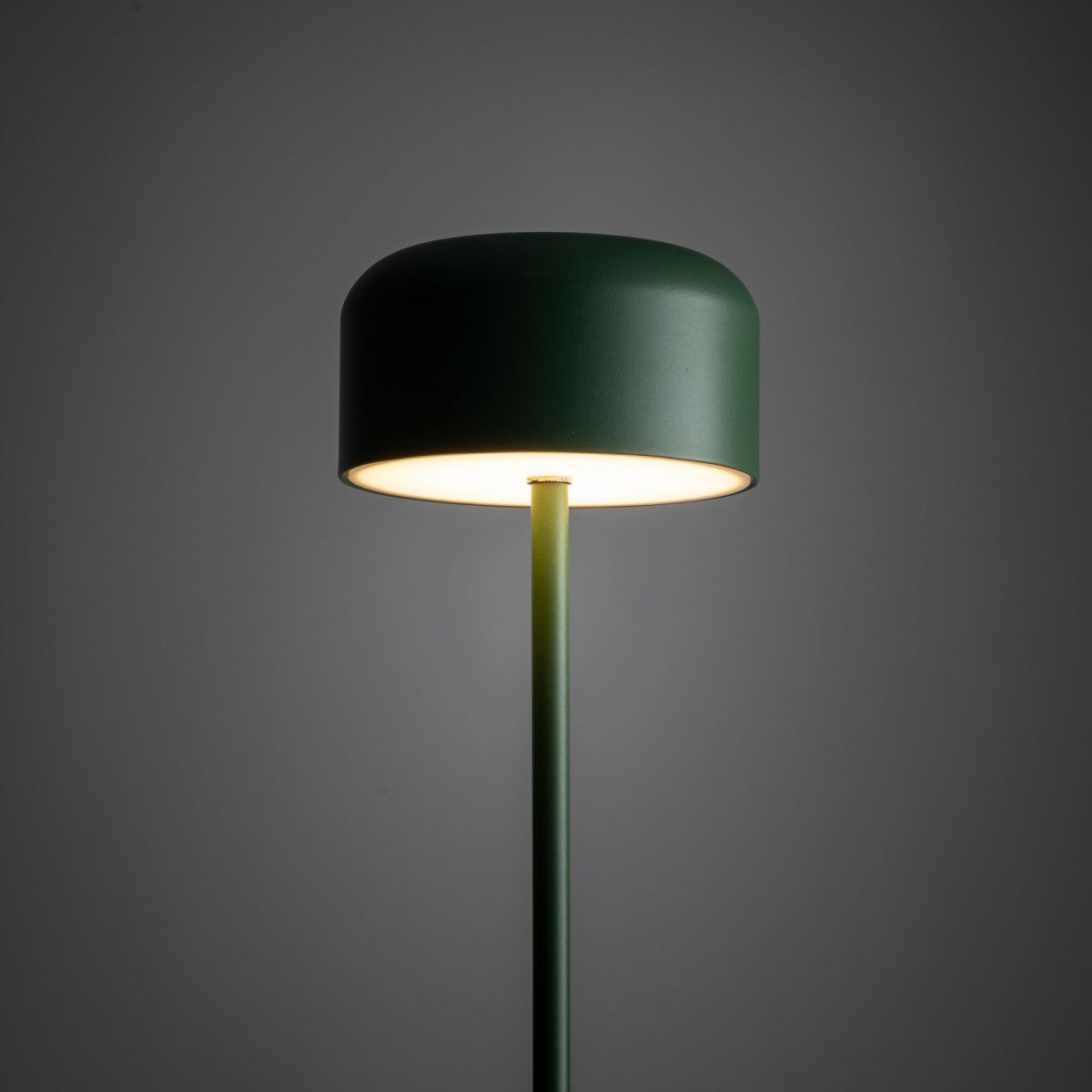 Торшер TK Lighting 19007 Noa Green a073035