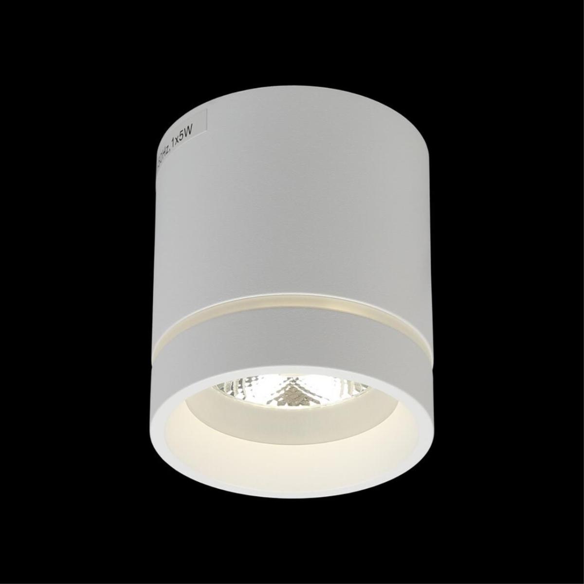 Потолочный светильник Aployt Gita APL.0044.09.05