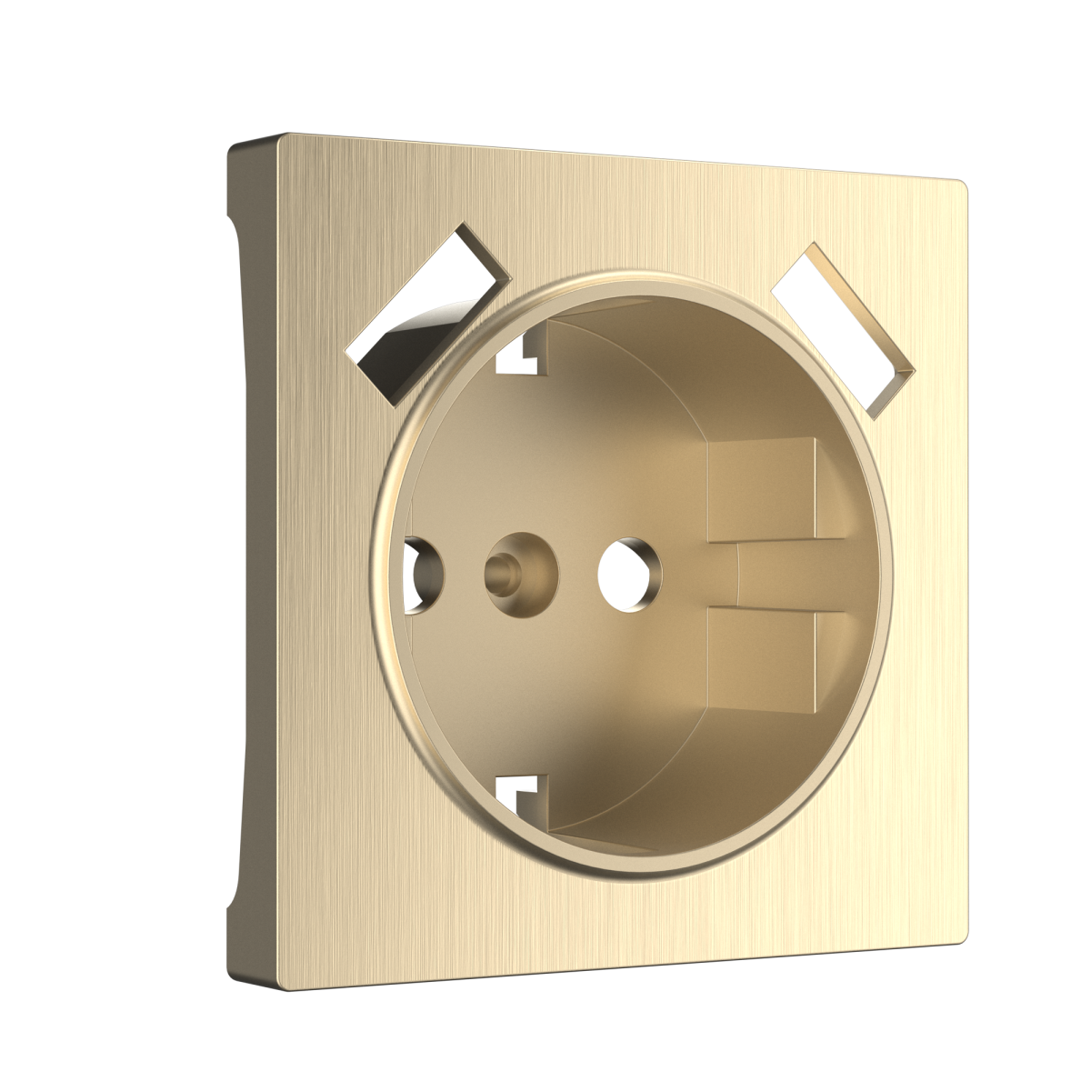 Накладка для розетки USB Werkel шампань рифленый W1179510 4690389160592