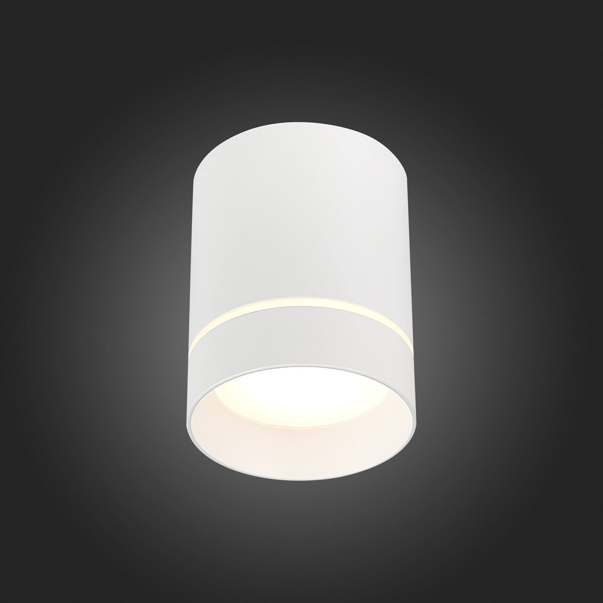 Накладной светильник ST Luce ST115 ST115.542.12 в #REGION_NAME_DECLINE_PP#