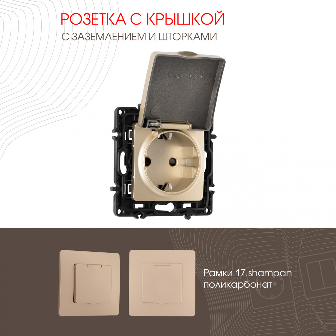 Розетка с заземлением, шторками и защитной крышкой Arte Milano 217.41-1.shampan