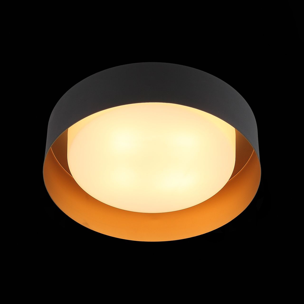 Потолочный светильник ST Luce Chio SL392.422.04