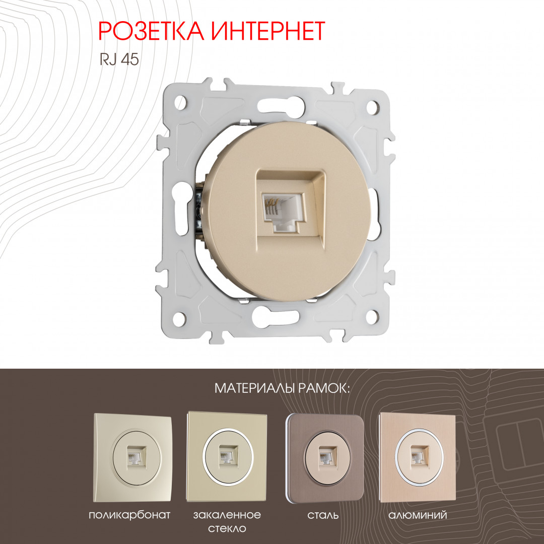 Розетка RJ45 Arte Milano 202.45-1.shampan