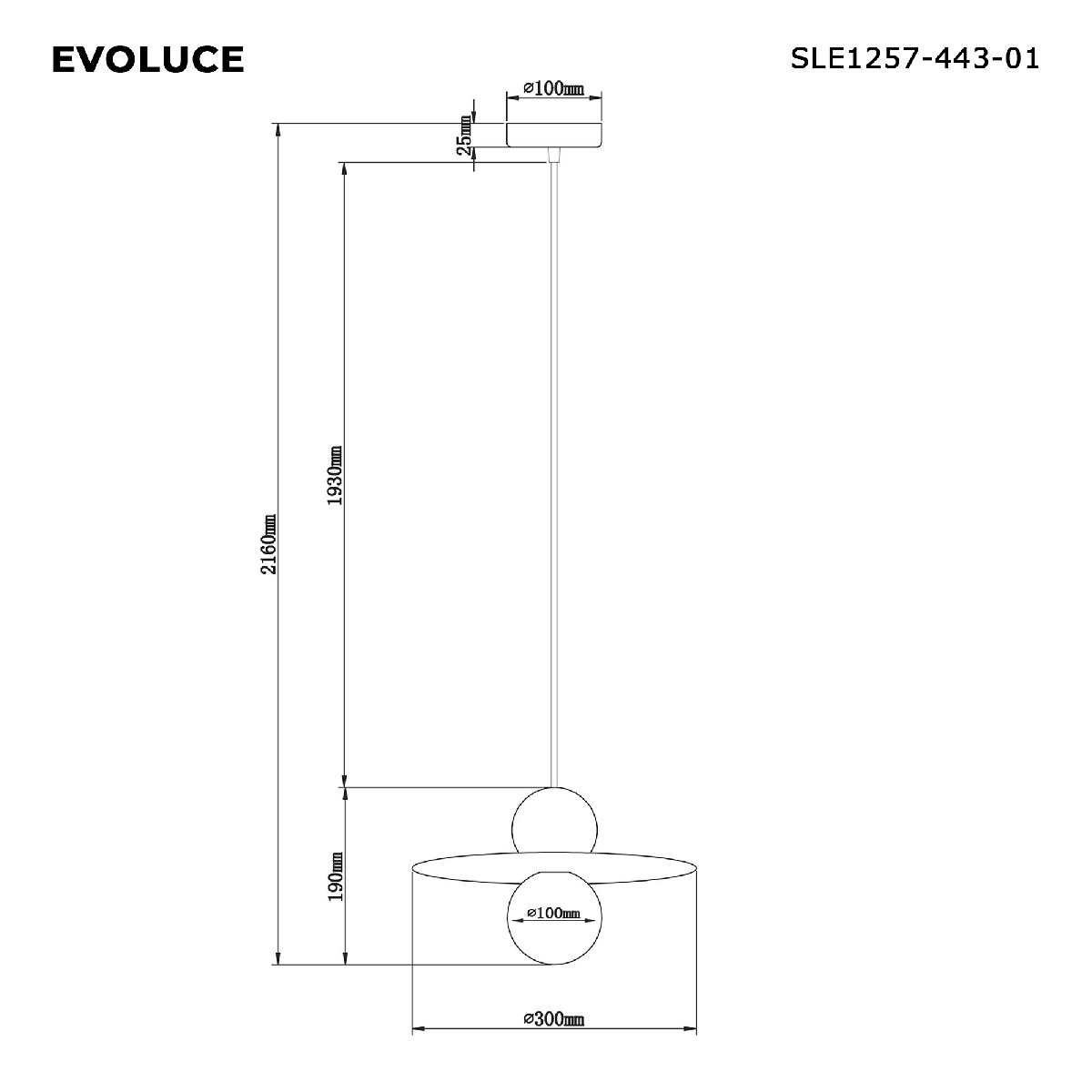 Подвесной светильник Evoluce Rizz SLE1257-443-01