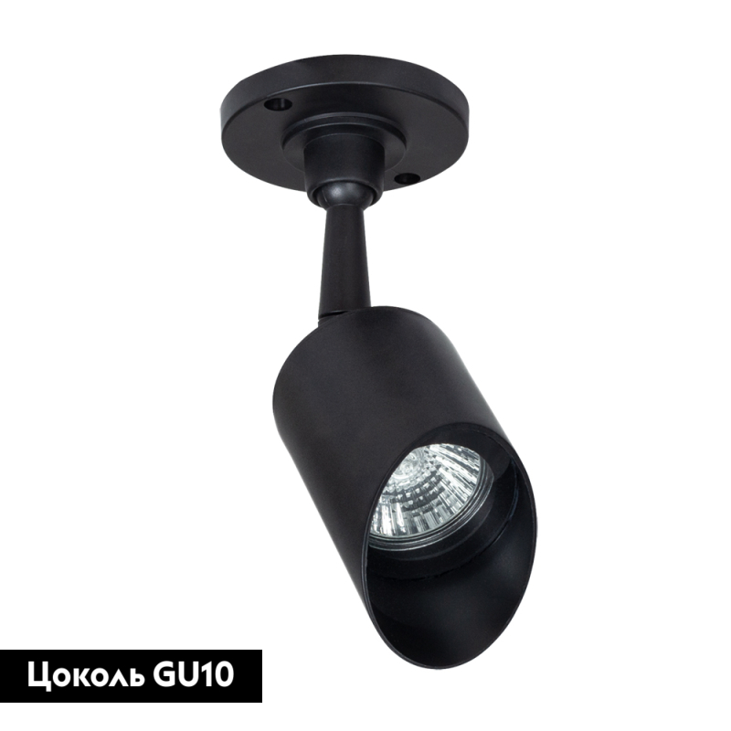 Прожектор уличный Arte Lamp Elsie A1022AL-1BK