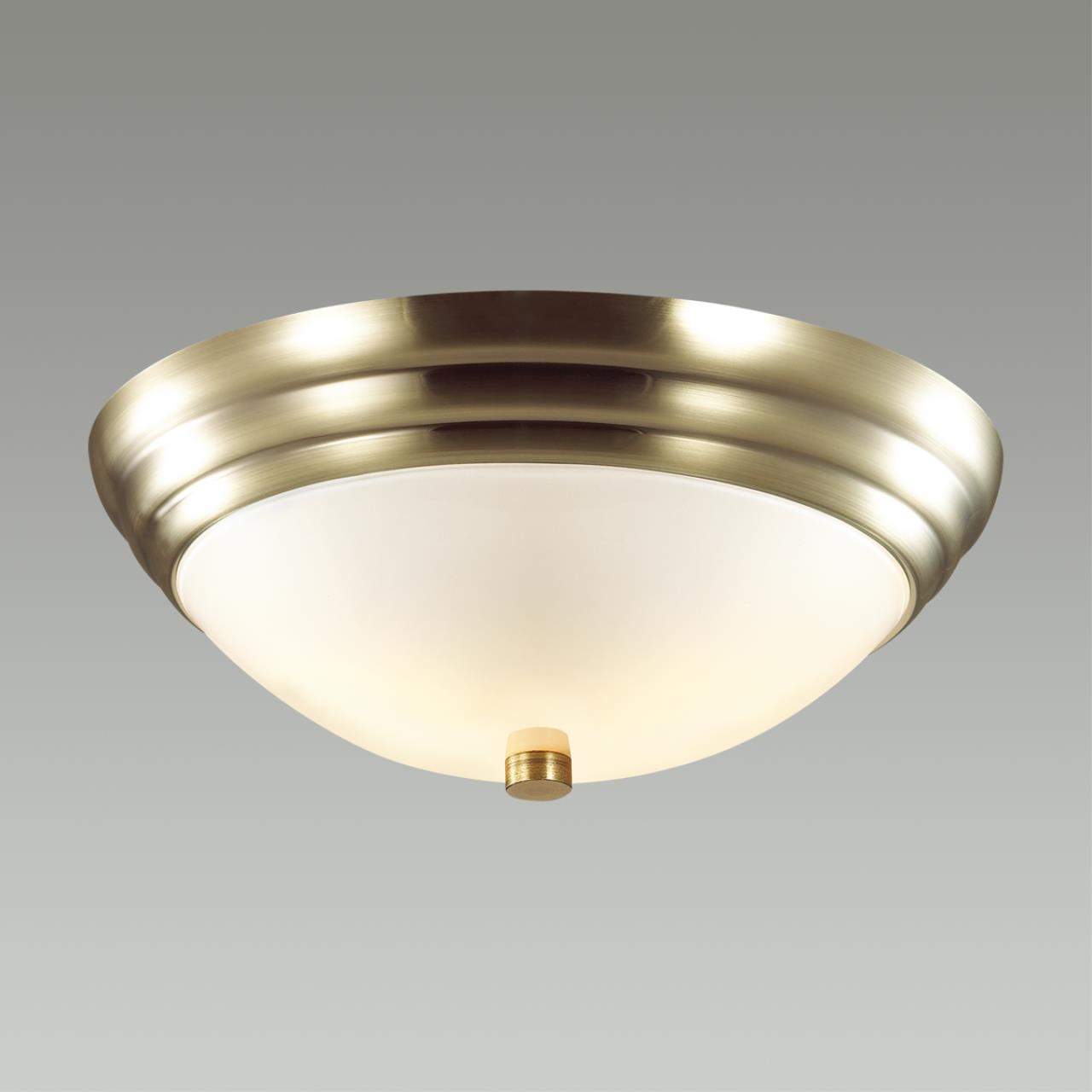 Настенно-потолочный светильник Lumion Vintage 5262/2C