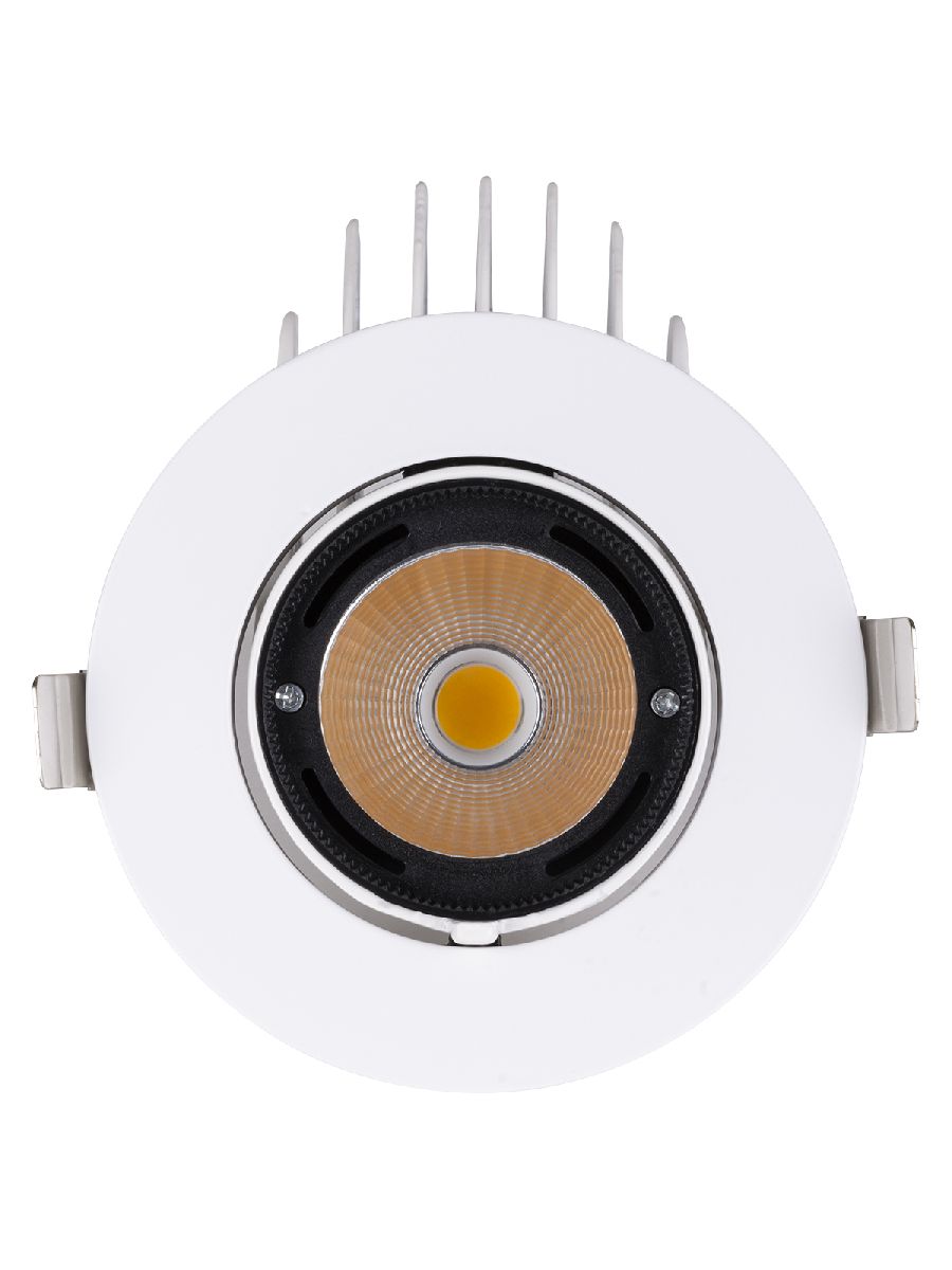 Встраиваемый светодиодный светильник TDM Electric Акцент-1DSL-01-030-WW SQ0369-0401