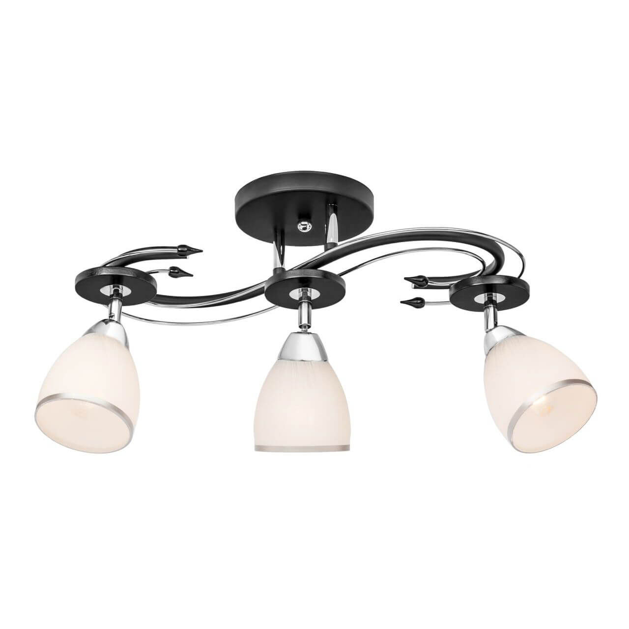 

Спот Silver Light Austerity 245.59.3