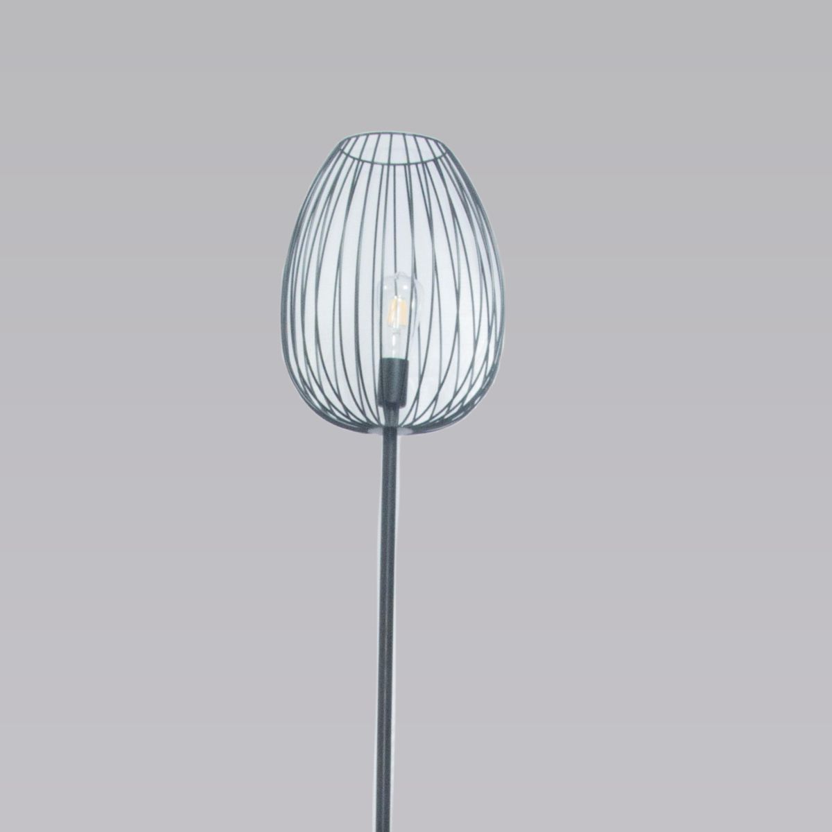 Торшер Alfa Light F3524-43