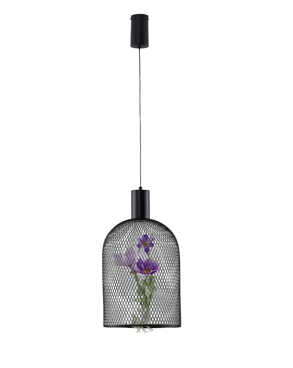 Подвесной светильник Moderli Ophelia V11875-PL