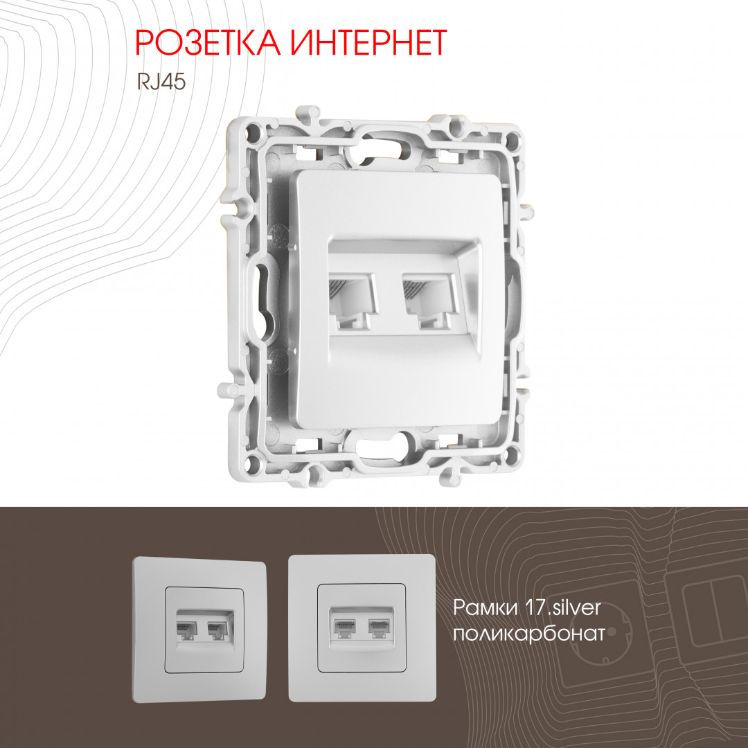 Розетка RJ45 Arte Milano 217.45-2.silver