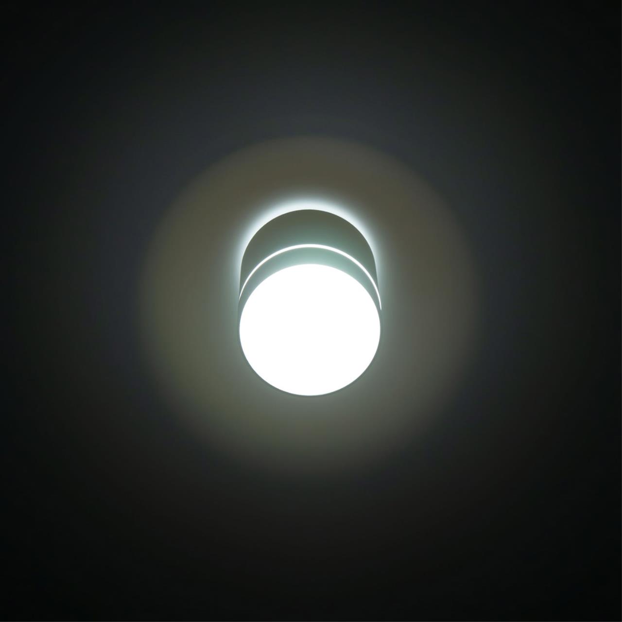 Накладной светильник Citilux Борн CL745010N в Москве