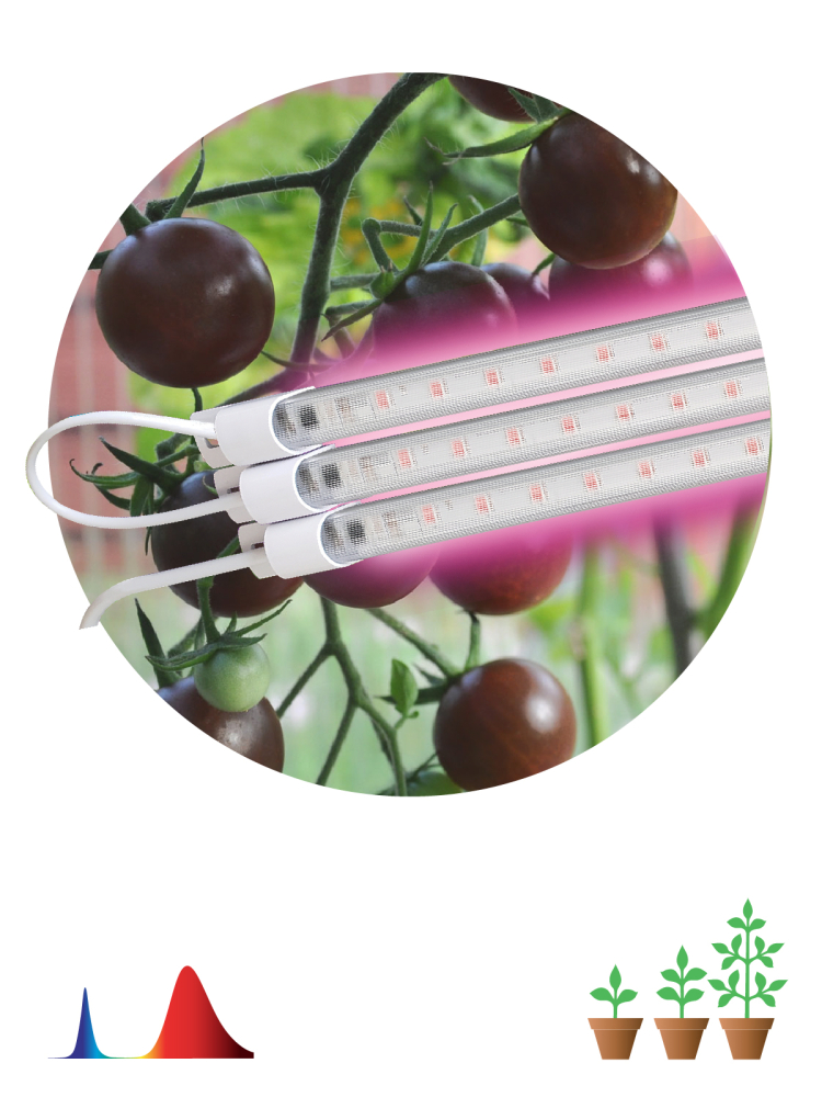 Светильник для растений Эра FITO-3х10W-LINE-RB90 Б0050924