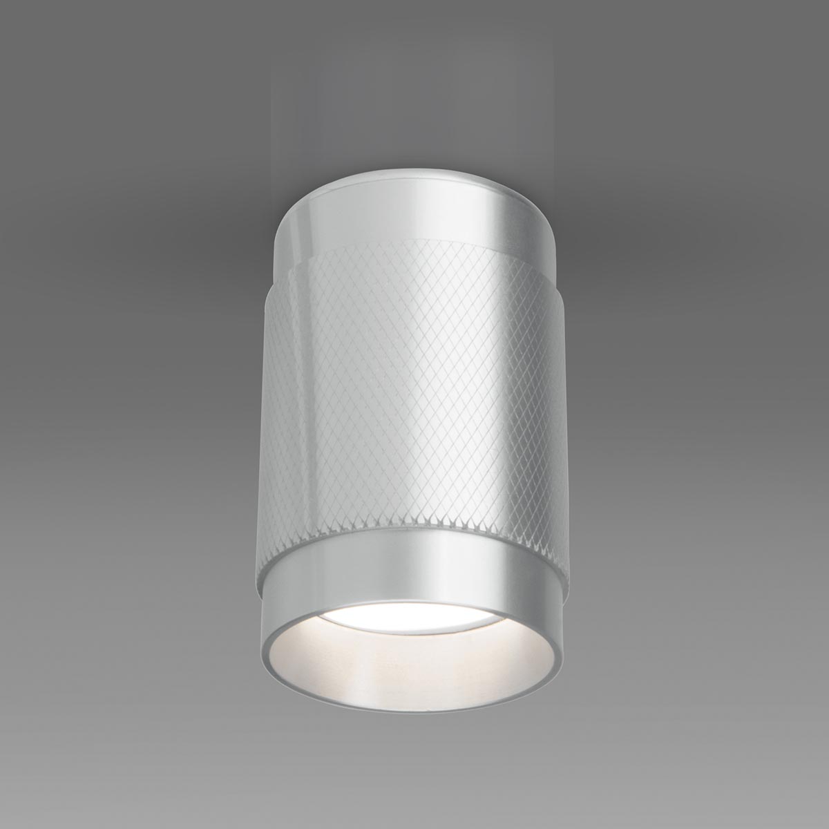 Точечный светильник Elektrostandard DLN109 GU10 серебро a047742