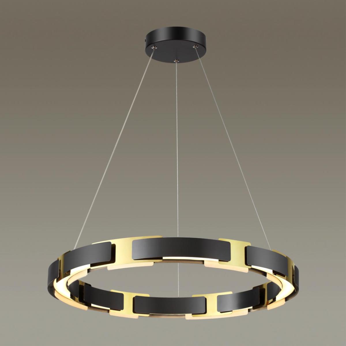 Подвесная люстра Odeon Light Fierro 4991/55L