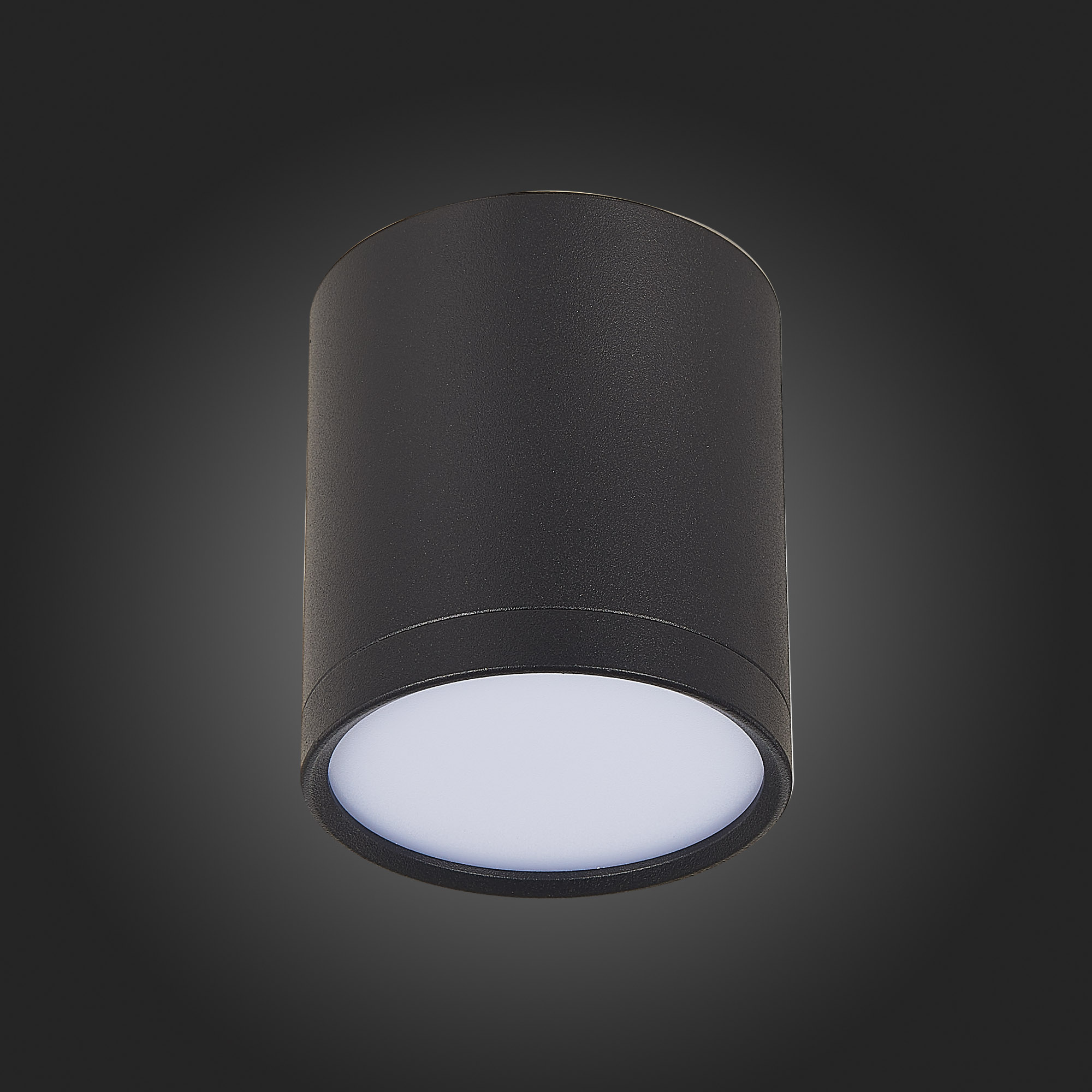 Потолочный светильник ST Luce Rene ST113.432.05 в #REGION_NAME_DECLINE_PP#