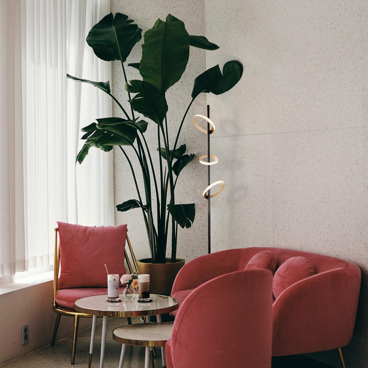 Настенный светильник Favourite Jongleur 4322-1W