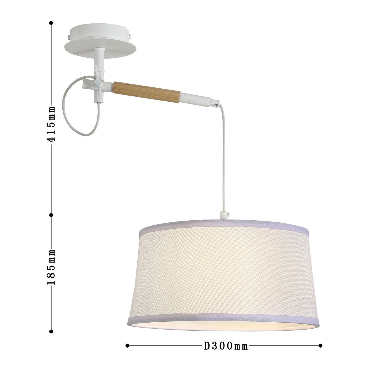 Настенно-потолочный светильник F-Promo Eureka 3005-1P в #REGION_NAME_DECLINE_PP#