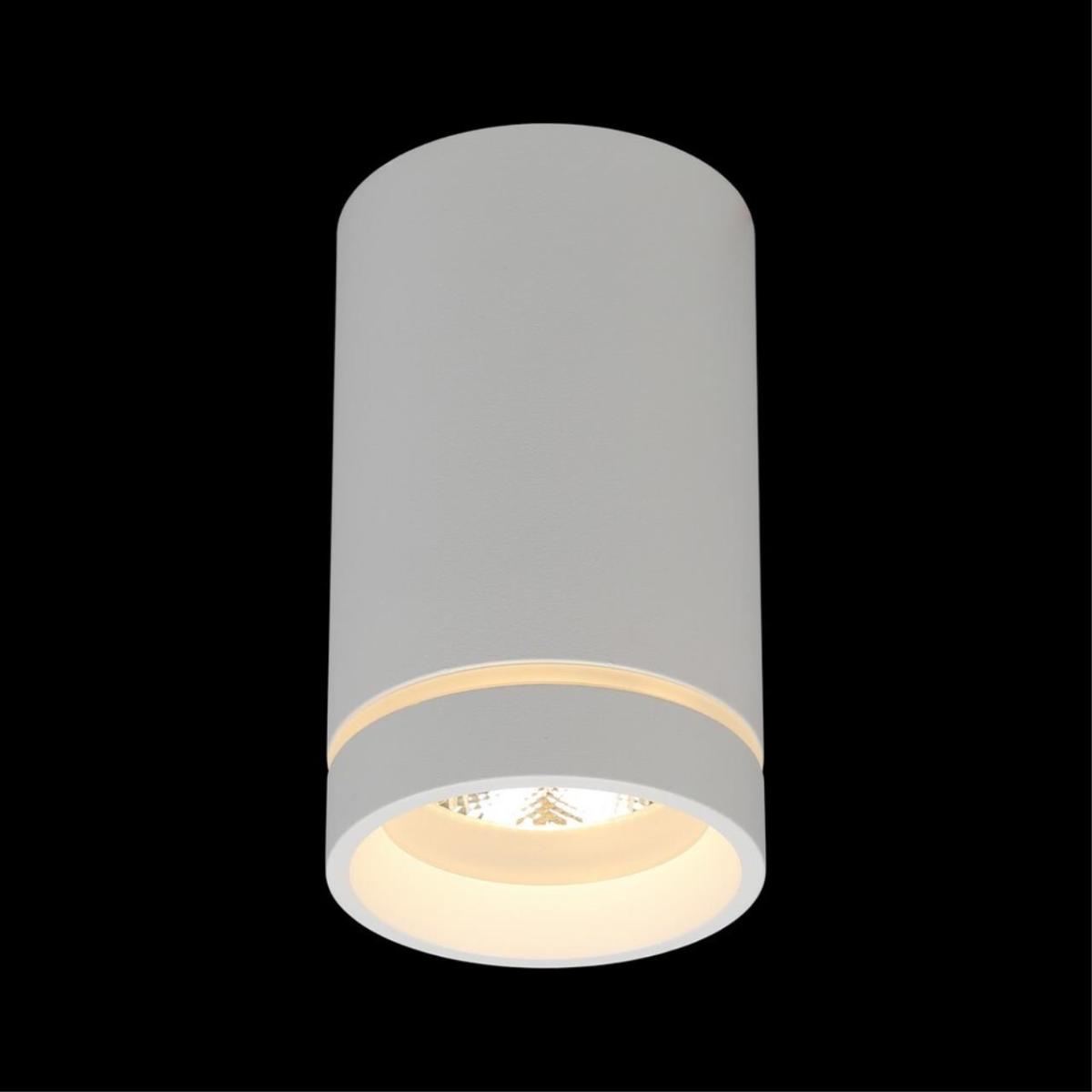 Потолочный светильник Aployt Edda APL.0053.09.10